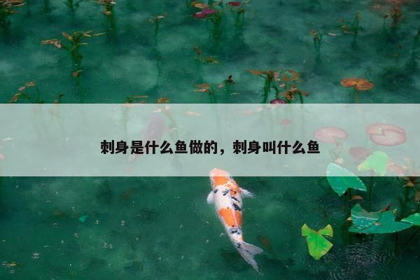 刺身是什么鱼做的，刺身叫什么鱼