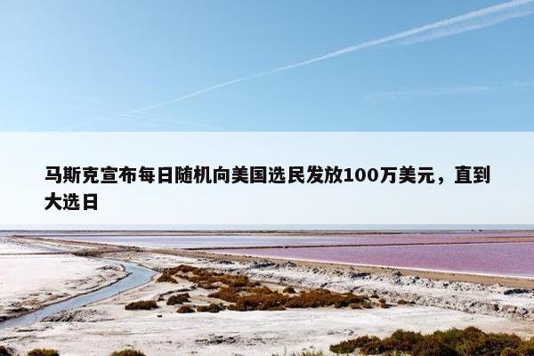 马斯克宣布每日随机向美国选民发放100万美元，直到大选日