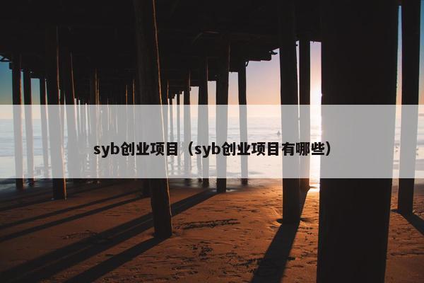 syb创业项目（syb创业项目有哪些）