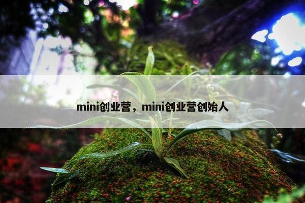 mini创业营，mini创业营创始人