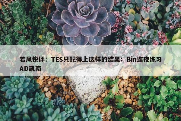 若风锐评：TES只配得上这样的结果；Bin连夜练习AD凯南