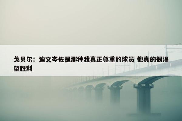 戈贝尔：迪文岑佐是那种我真正尊重的球员 他真的很渴望胜利