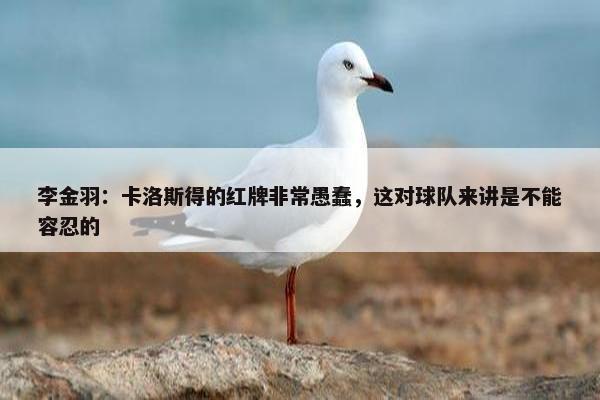 李金羽：卡洛斯得的红牌非常愚蠢，这对球队来讲是不能容忍的