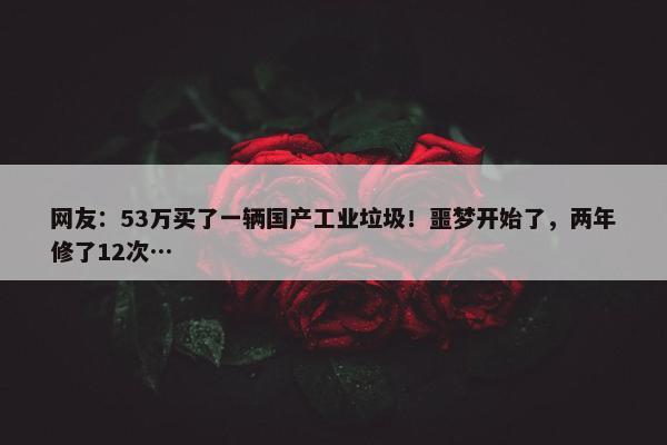 网友：53万买了一辆国产工业垃圾！噩梦开始了，两年修了12次…