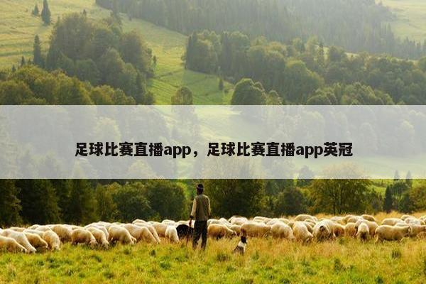 足球比赛直播app，足球比赛直播app英冠