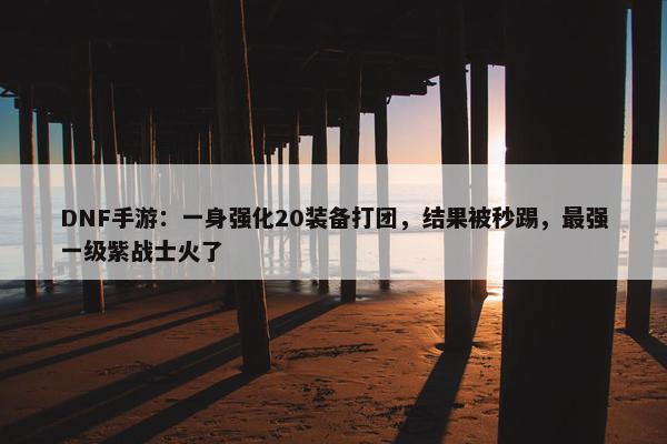 DNF手游：一身强化20装备打团，结果被秒踢，最强一级紫战士火了