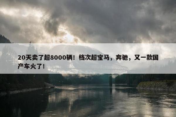 20天卖了超8000辆！档次超宝马，奔驰，又一款国产车火了！