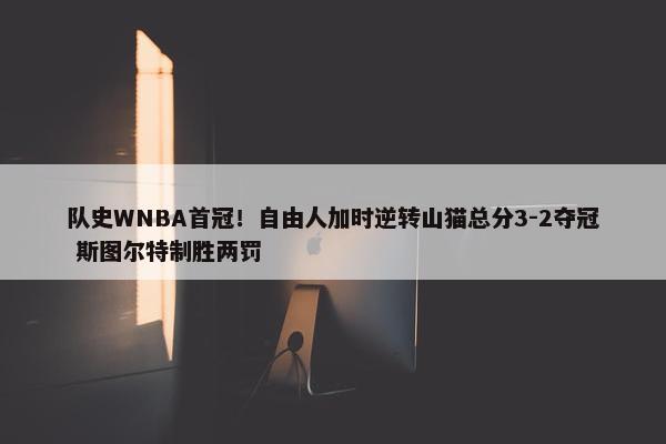 队史WNBA首冠！自由人加时逆转山猫总分3-2夺冠 斯图尔特制胜两罚