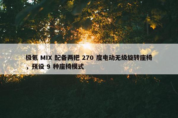 极氪 MIX 配备两把 270 度电动无级旋转座椅，预设 9 种座椅模式