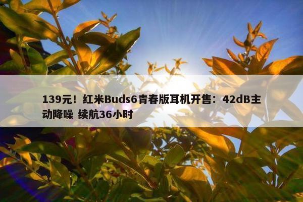 139元！红米Buds6青春版耳机开售：42dB主动降噪 续航36小时