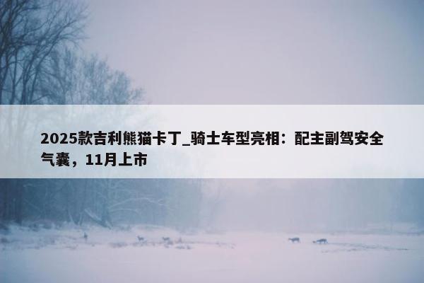 2025款吉利熊猫卡丁_骑士车型亮相：配主副驾安全气囊，11月上市