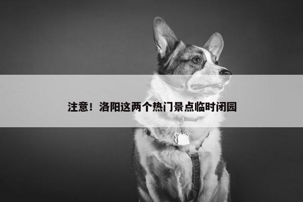 注意！洛阳这两个热门景点临时闭园