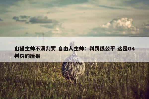 山猫主帅不满判罚 自由人主帅：判罚很公平 这是G4判罚的后果