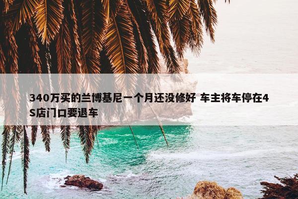 340万买的兰博基尼一个月还没修好 车主将车停在4S店门口要退车