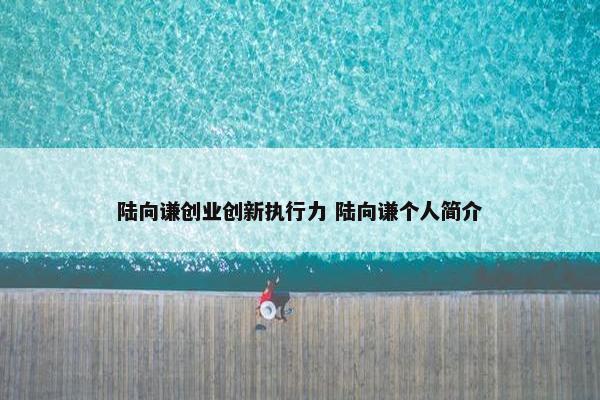 陆向谦创业创新执行力 陆向谦个人简介