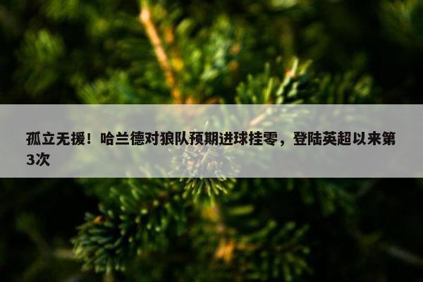 孤立无援！哈兰德对狼队预期进球挂零，登陆英超以来第3次