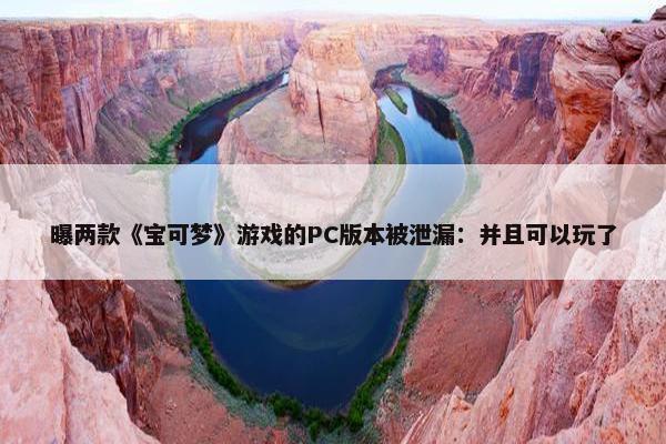 曝两款《宝可梦》游戏的PC版本被泄漏：并且可以玩了