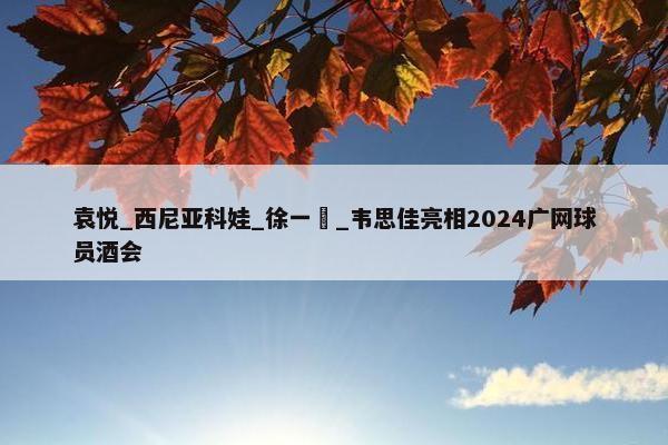 袁悦_西尼亚科娃_徐一璠_韦思佳亮相2024广网球员酒会