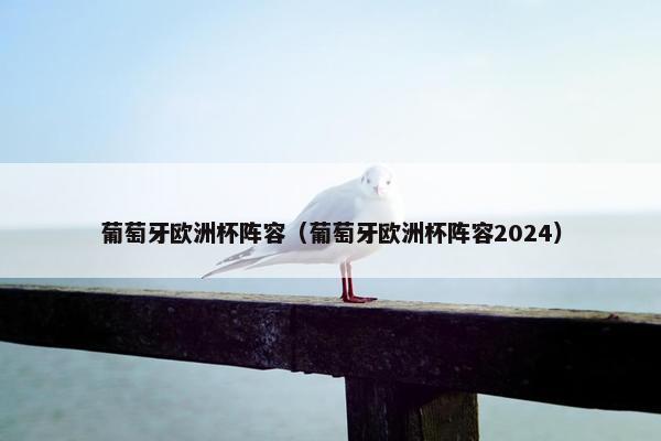 葡萄牙欧洲杯阵容（葡萄牙欧洲杯阵容2024）