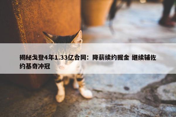 揭秘戈登4年1.33亿合同：降薪续约掘金 继续辅佐约基奇冲冠