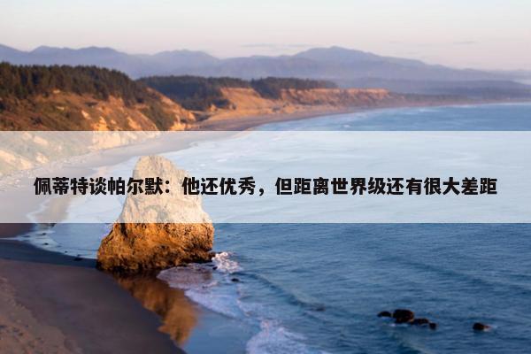 佩蒂特谈帕尔默：他还优秀，但距离世界级还有很大差距