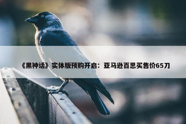 《黑神话》实体版预购开启：亚马逊百思买售价65刀