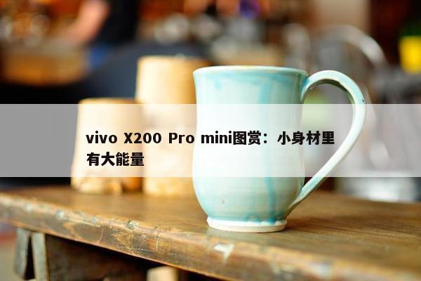 vivo X200 Pro mini图赏：小身材里有大能量