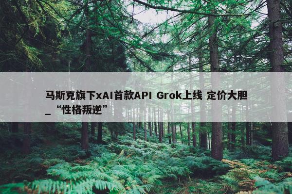 马斯克旗下xAI首款API Grok上线 定价大胆_“性格叛逆”