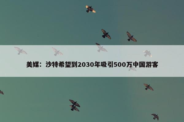 美媒：沙特希望到2030年吸引500万中国游客