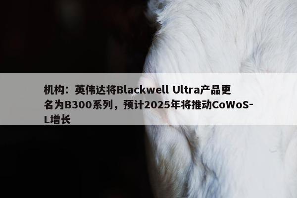 机构：英伟达将Blackwell Ultra产品更名为B300系列，预计2025年将推动CoWoS-L增长