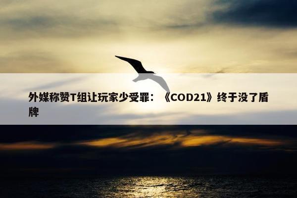 外媒称赞T组让玩家少受罪：《COD21》终于没了盾牌