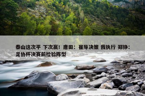 泰山这次平 下次赢！唐田：崔导决策 我执行 郑铮：足协杯决赛前检验阵型