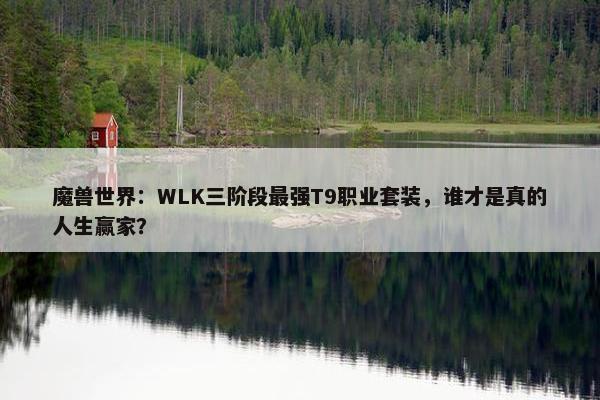 魔兽世界：WLK三阶段最强T9职业套装，谁才是真的人生赢家？