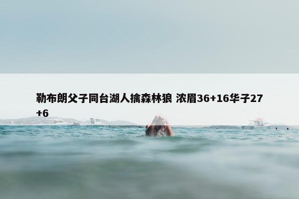 勒布朗父子同台湖人擒森林狼 浓眉36+16华子27+6