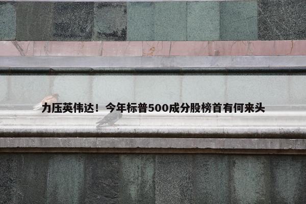 力压英伟达！今年标普500成分股榜首有何来头