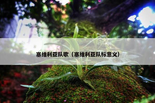 塞维利亚队歌（塞维利亚队标意义）