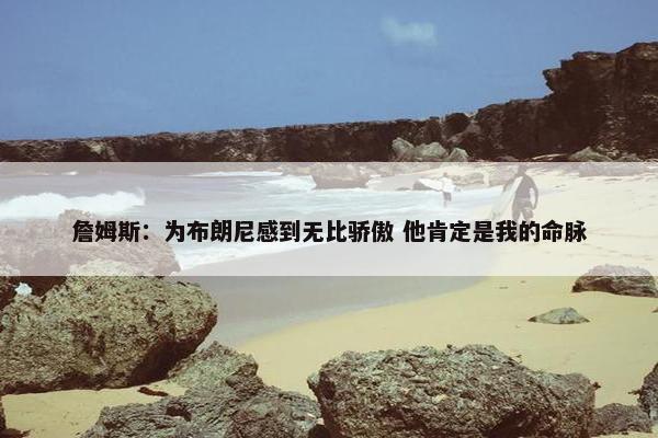 詹姆斯：为布朗尼感到无比骄傲 他肯定是我的命脉