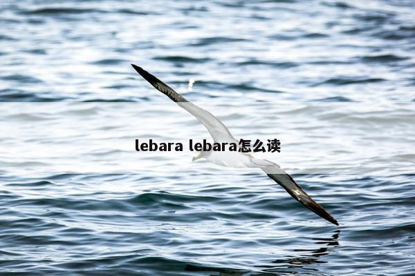 lebara lebara怎么读