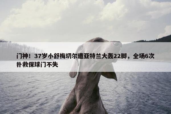 门神！37岁小舒梅切尔遭亚特兰大轰22脚，全场6次扑救保球门不失