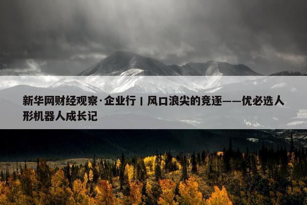 新华网财经观察·企业行丨风口浪尖的竞逐——优必选人形机器人成长记