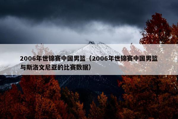 2006年世锦赛中国男篮（2006年世锦赛中国男篮与斯洛文尼亚的比赛数据）