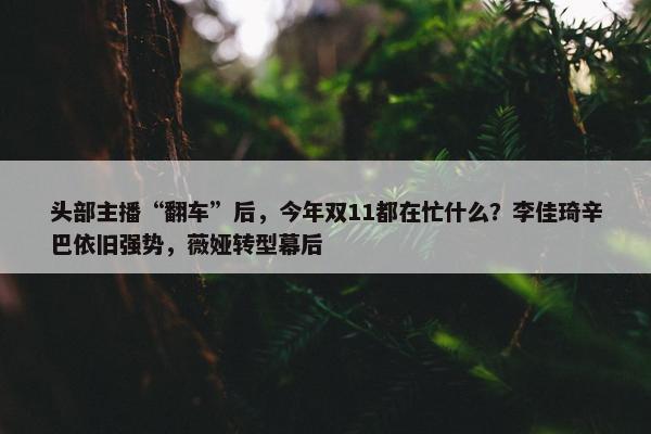 头部主播“翻车”后，今年双11都在忙什么？李佳琦辛巴依旧强势，薇娅转型幕后